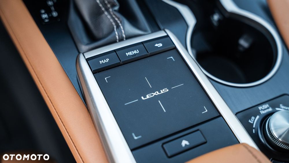 Lexus RX 300 Business Edition + - 14