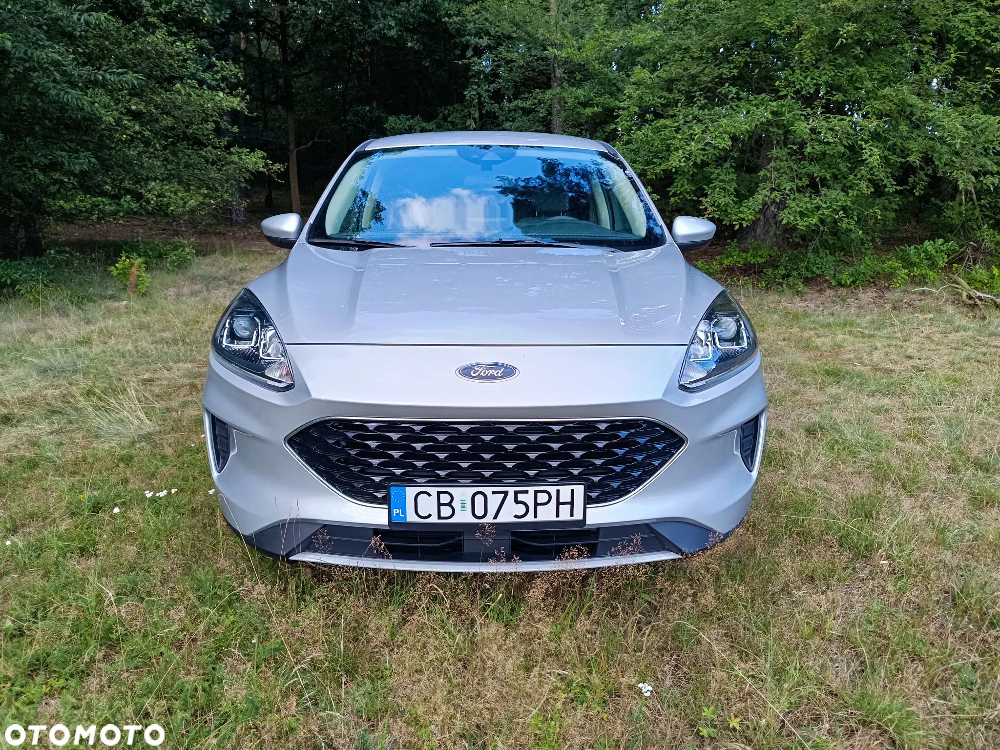 Ford Kuga - 1