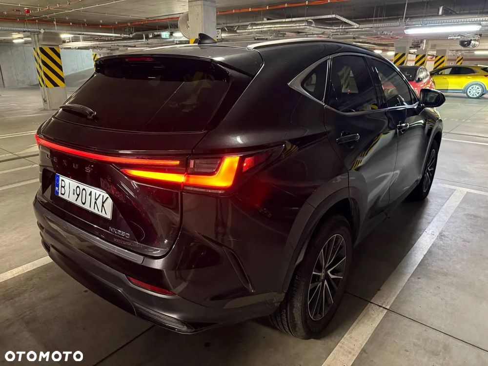 Lexus NX - 4