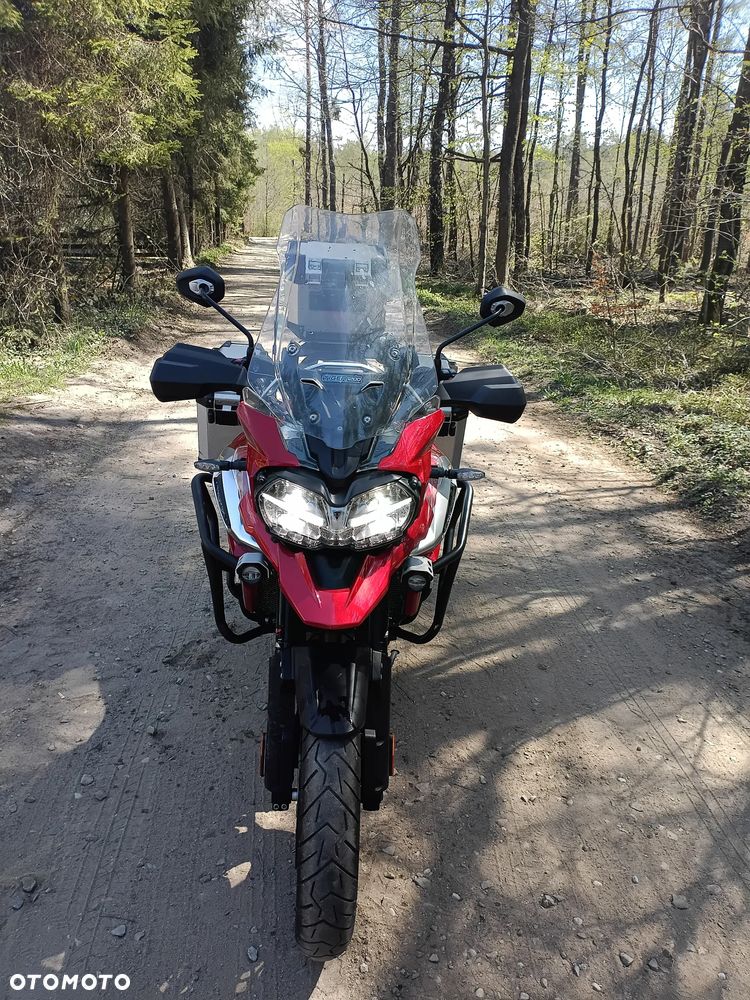 Triumph Tiger - 18