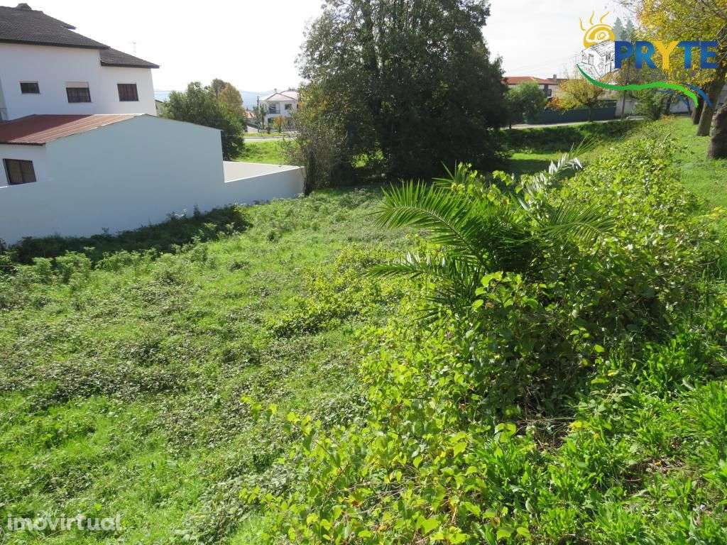 Lote para construção situado em Cernache do Bonjardim - Grande imagem: 2/4