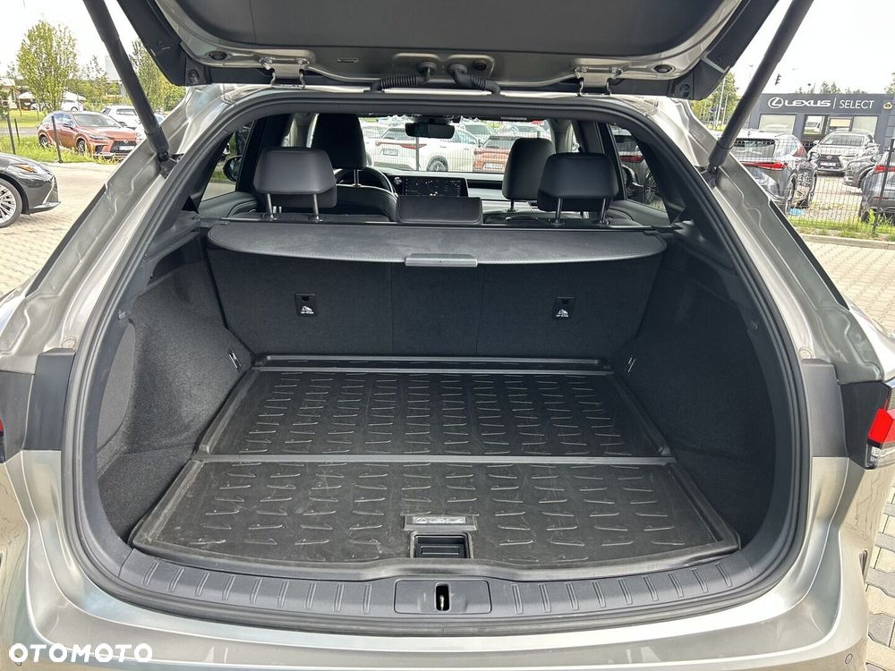 Lexus RX - 14