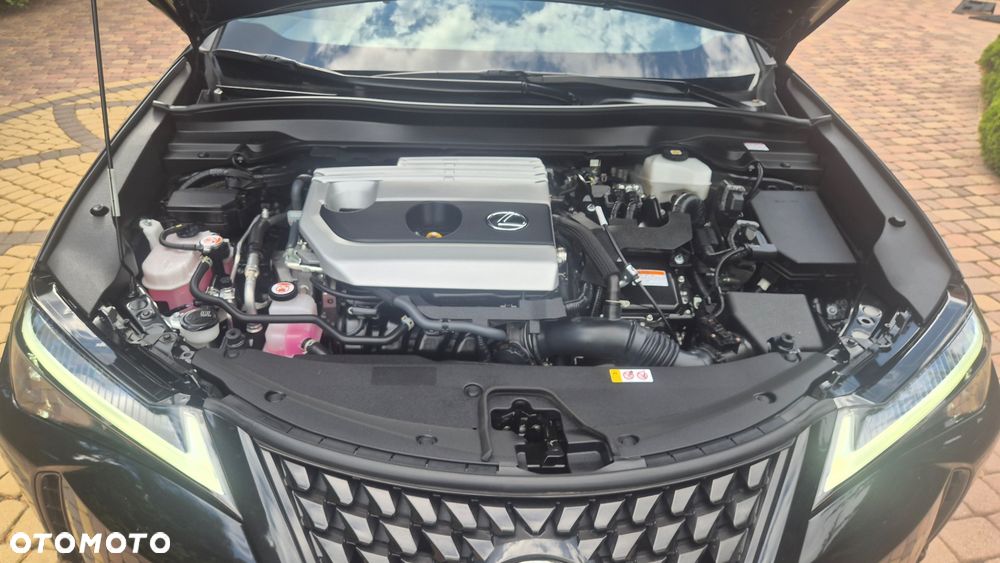 Lexus UX 250h Business Edition - 9