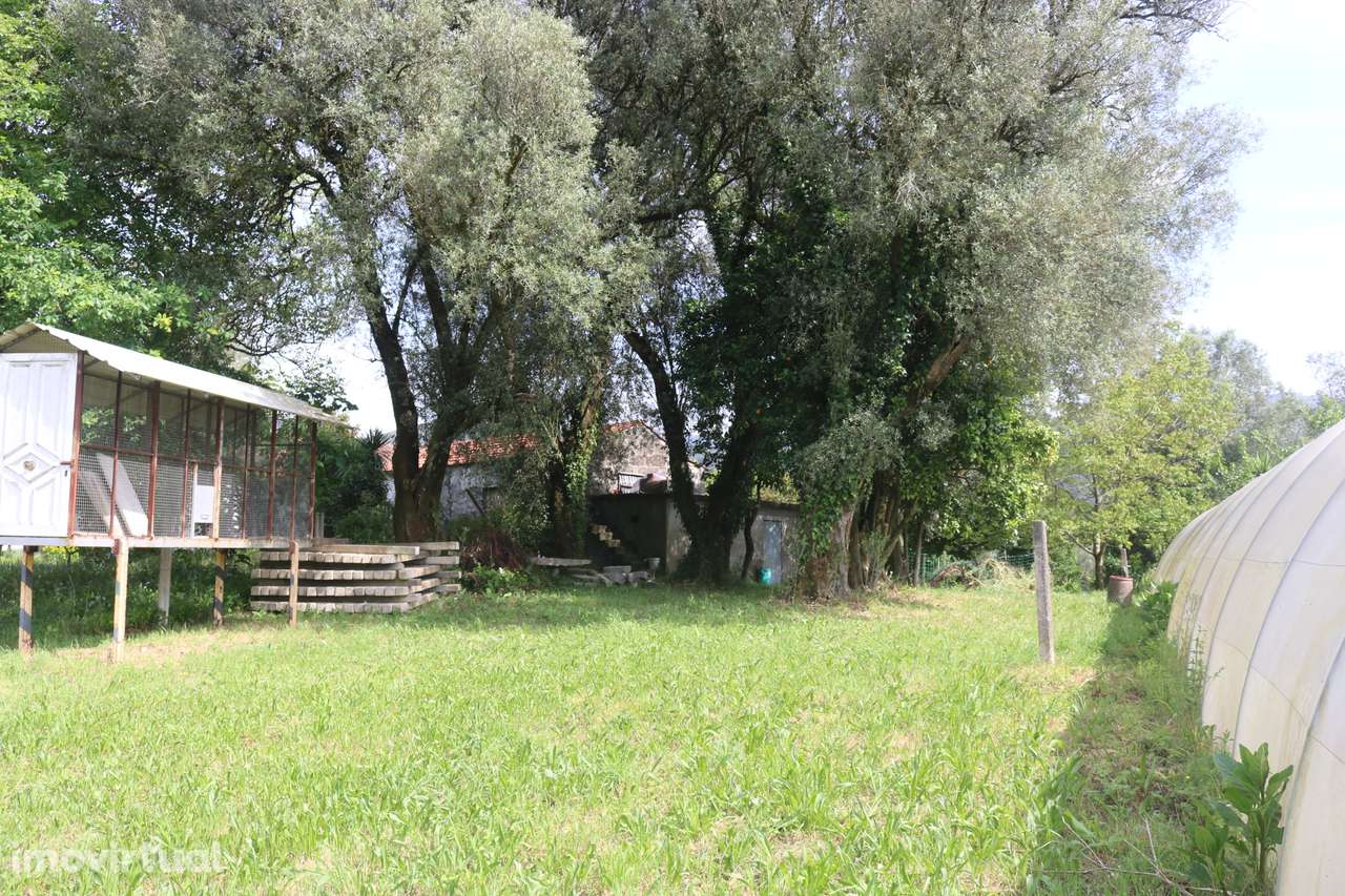 Propriedade com 5.200 m2 e moradia para restauro em V. Verde Braga. - Grande imagem: 5/18