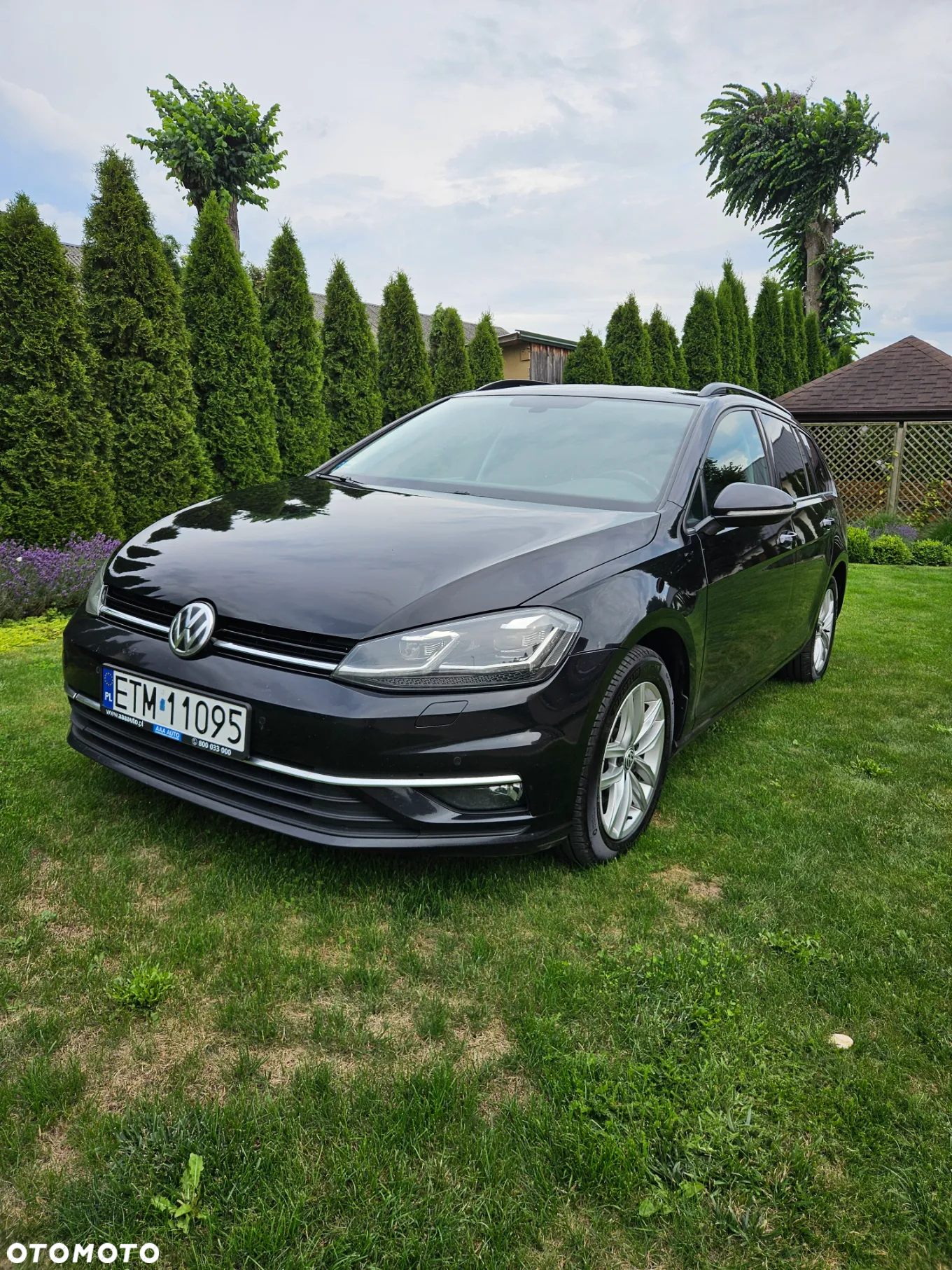 Volkswagen Golf - 4