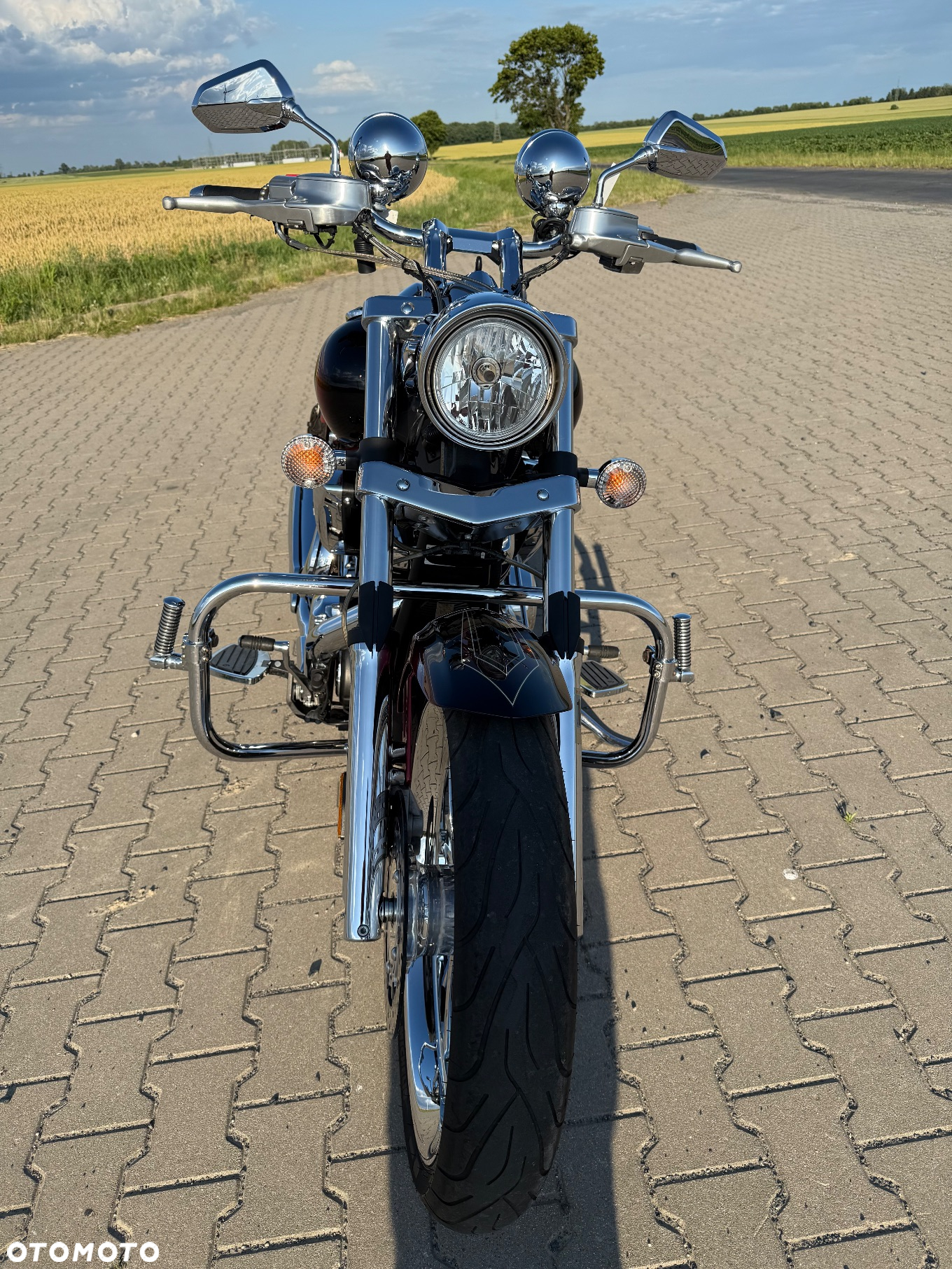 Yamaha Raider - 13