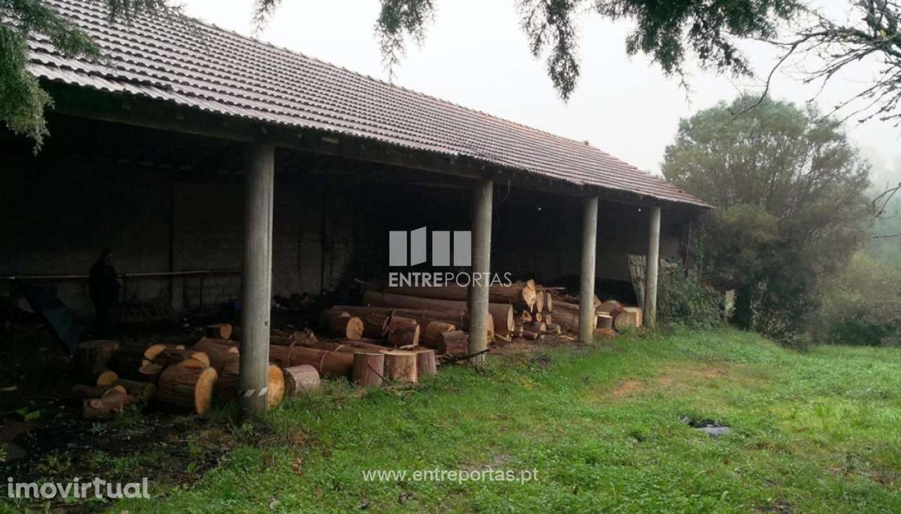 Venda de Terreno com 8224m², Lanheses, Viana do Castelo - Grande imagem: 2/30