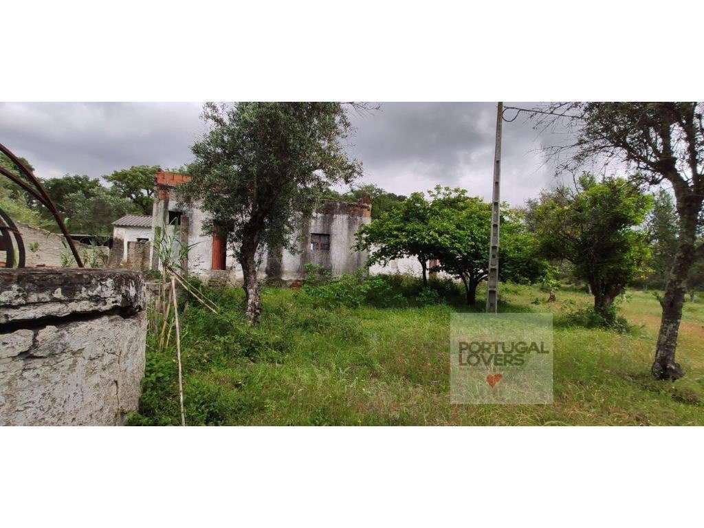 Quinta com várias construções terreno 2874 m2 Galveias (Ponte de Sor) - Grande imagem: 2/27