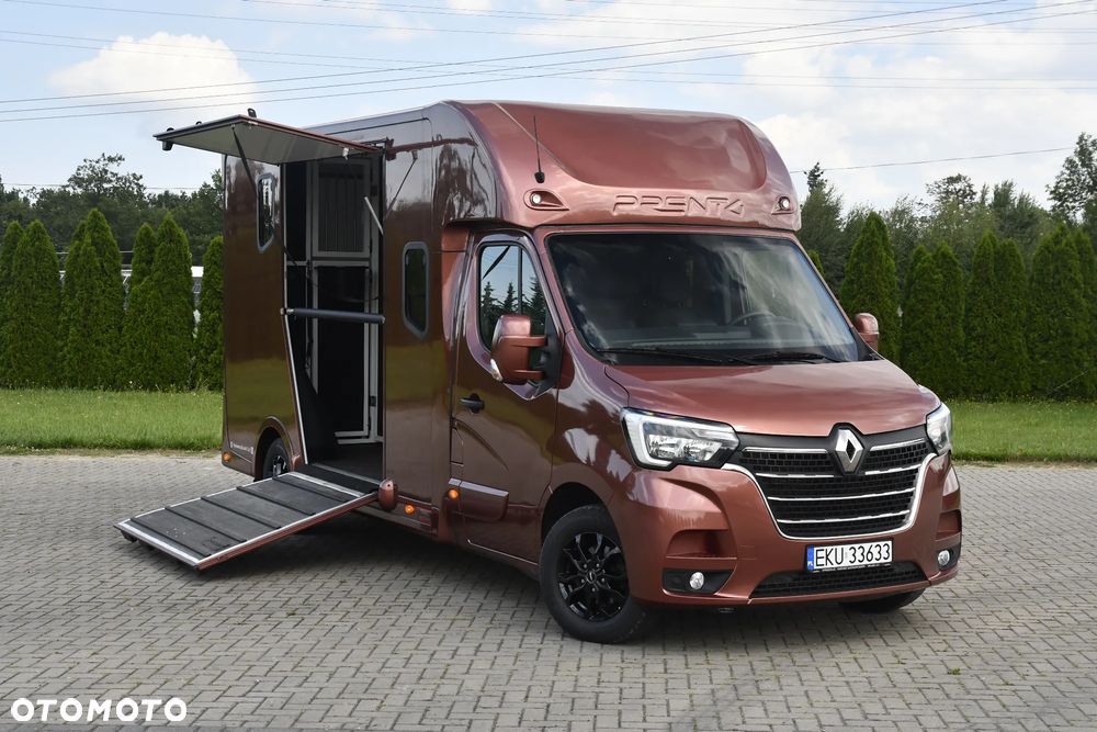 Renault Master Koniowóz - 2