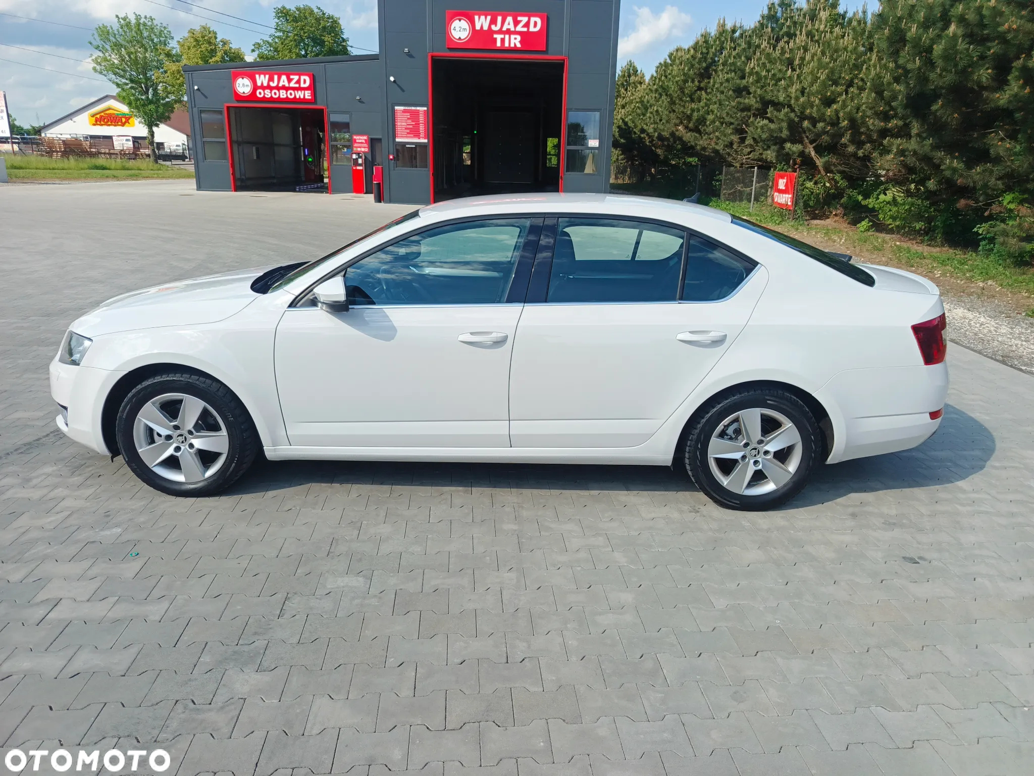 Skoda Octavia 1.6 TDI Greenline - 11