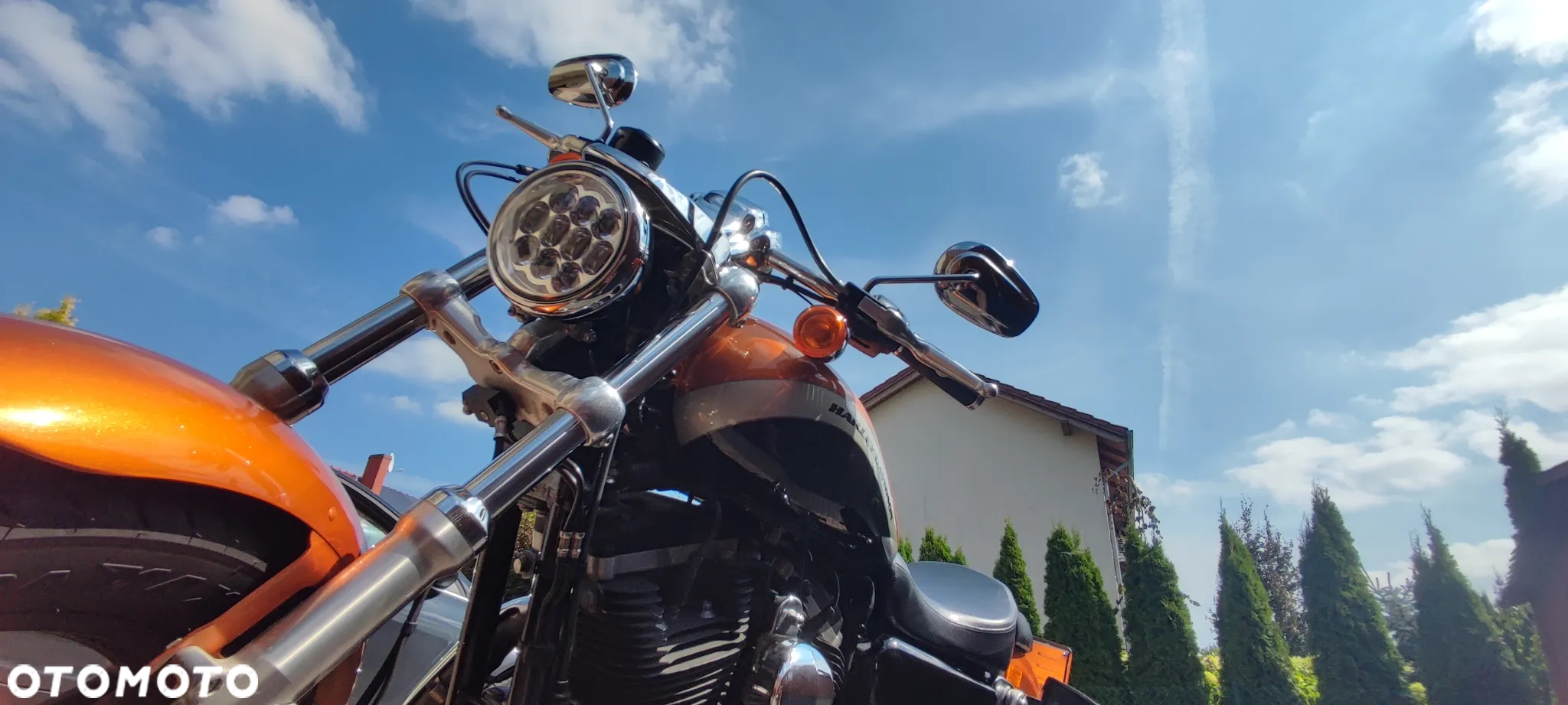 Harley-Davidson Sportster Custom 1200C - 6