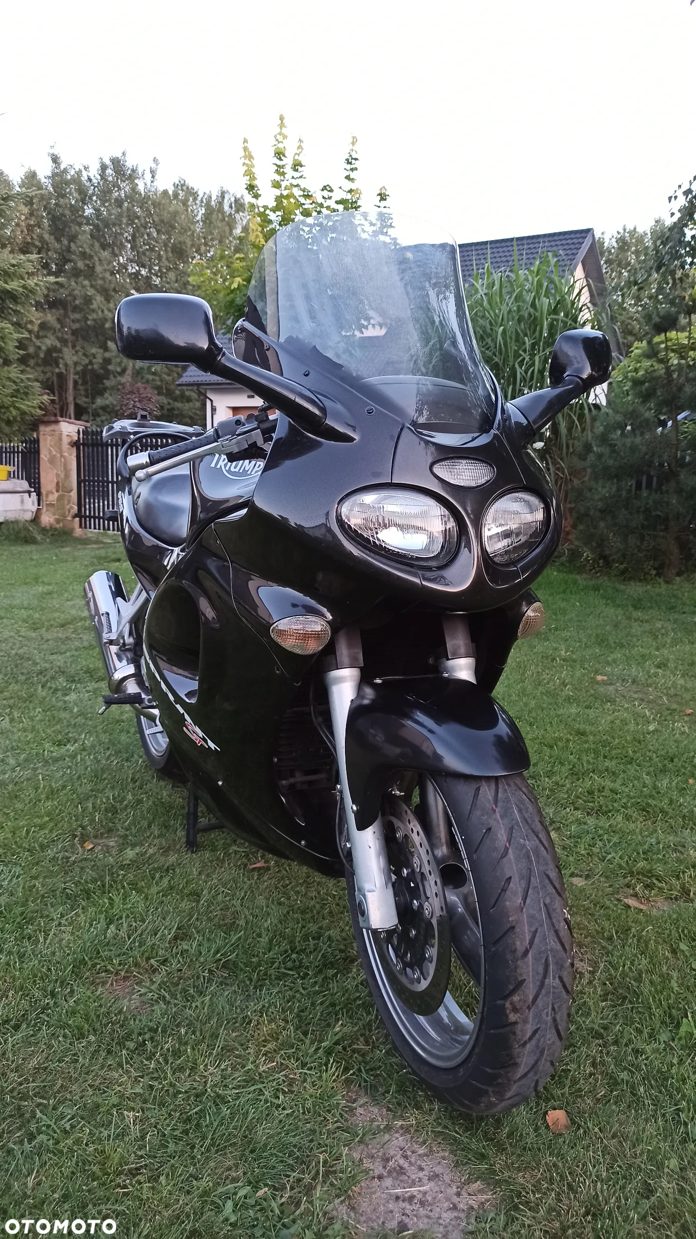 Triumph Sprint - 6