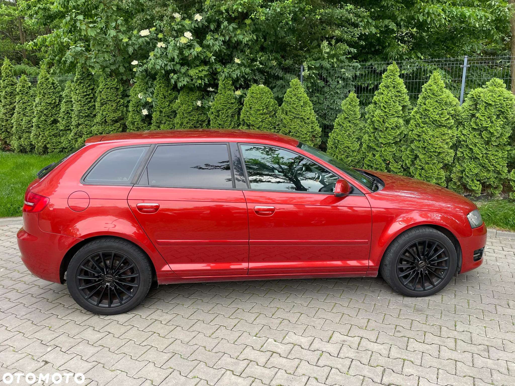 Audi A3 2.0 TDI Sportback DPF Ambiente - 3