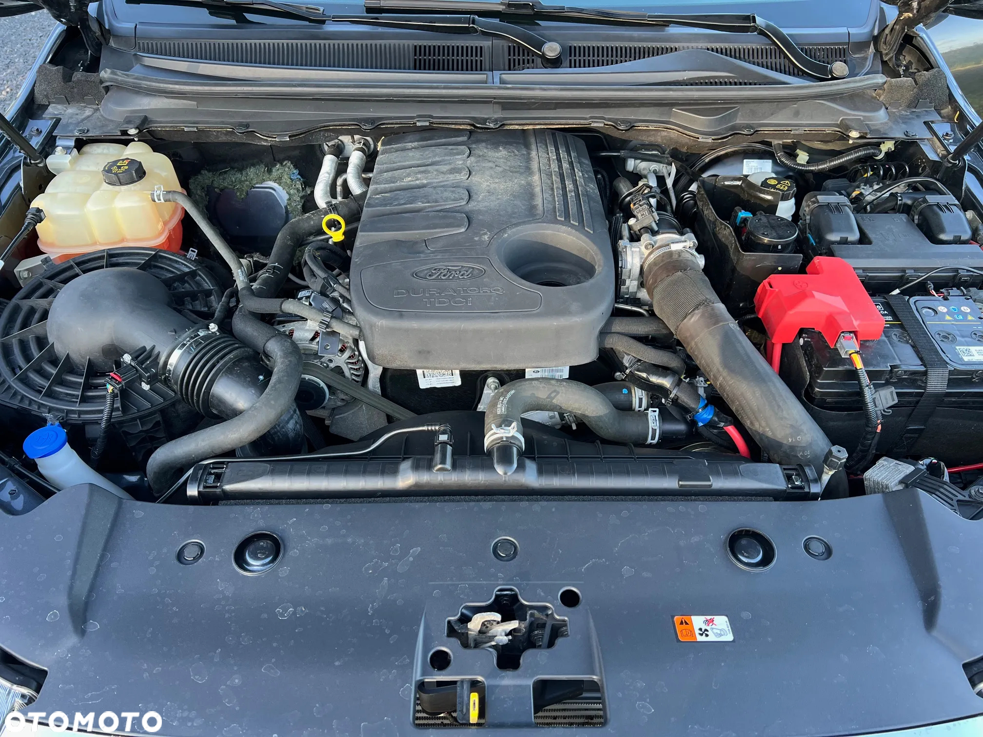 Ford Ranger Autm Limited - 11