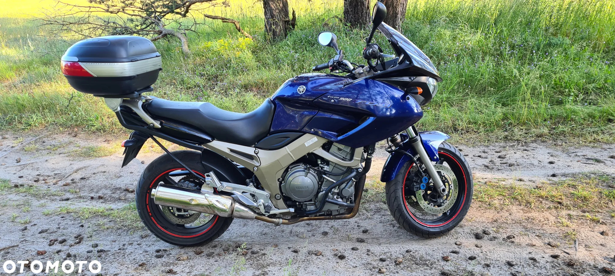 Yamaha TDM - 10
