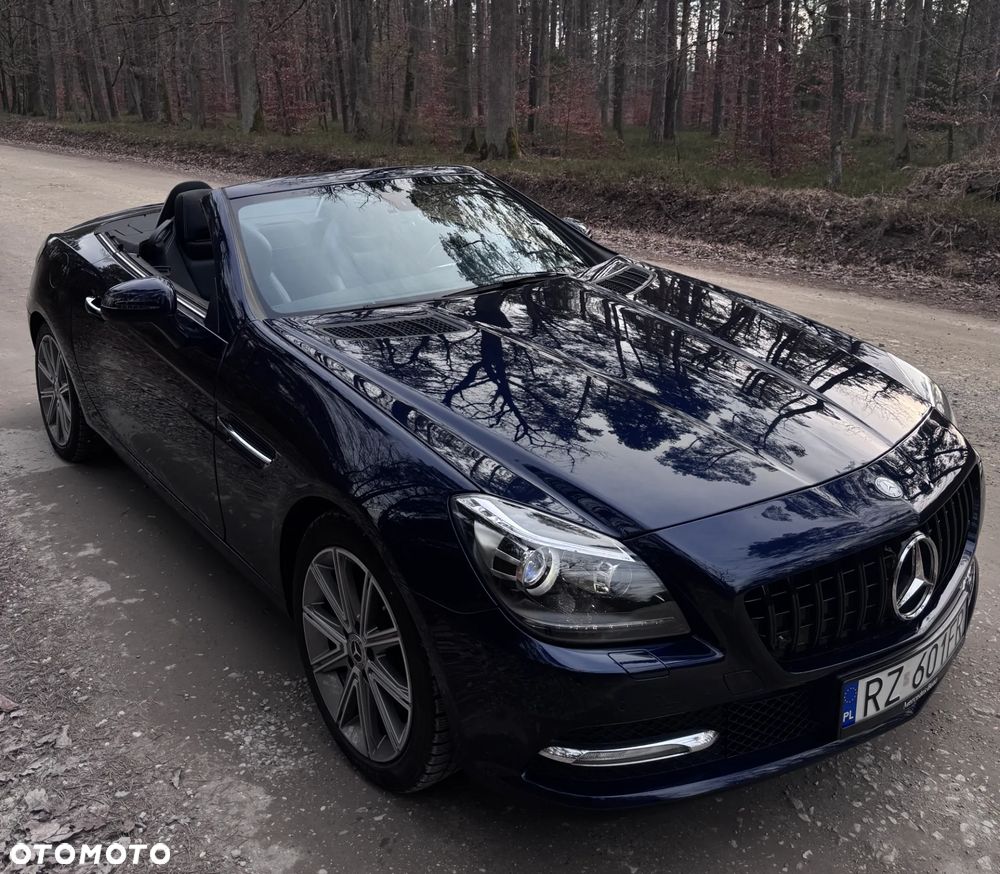 Mercedes-Benz SLK 350 (BlueEFFICIENCY) 7G-TRONIC - 19