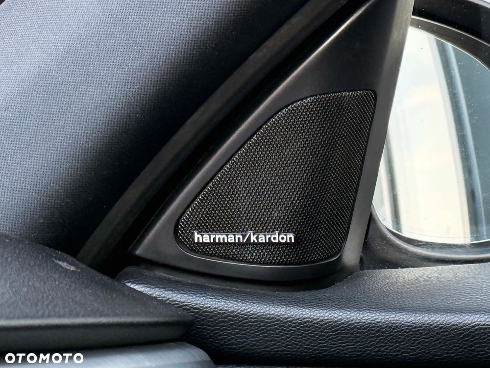 BMW Seria 3 320d DPF - 26