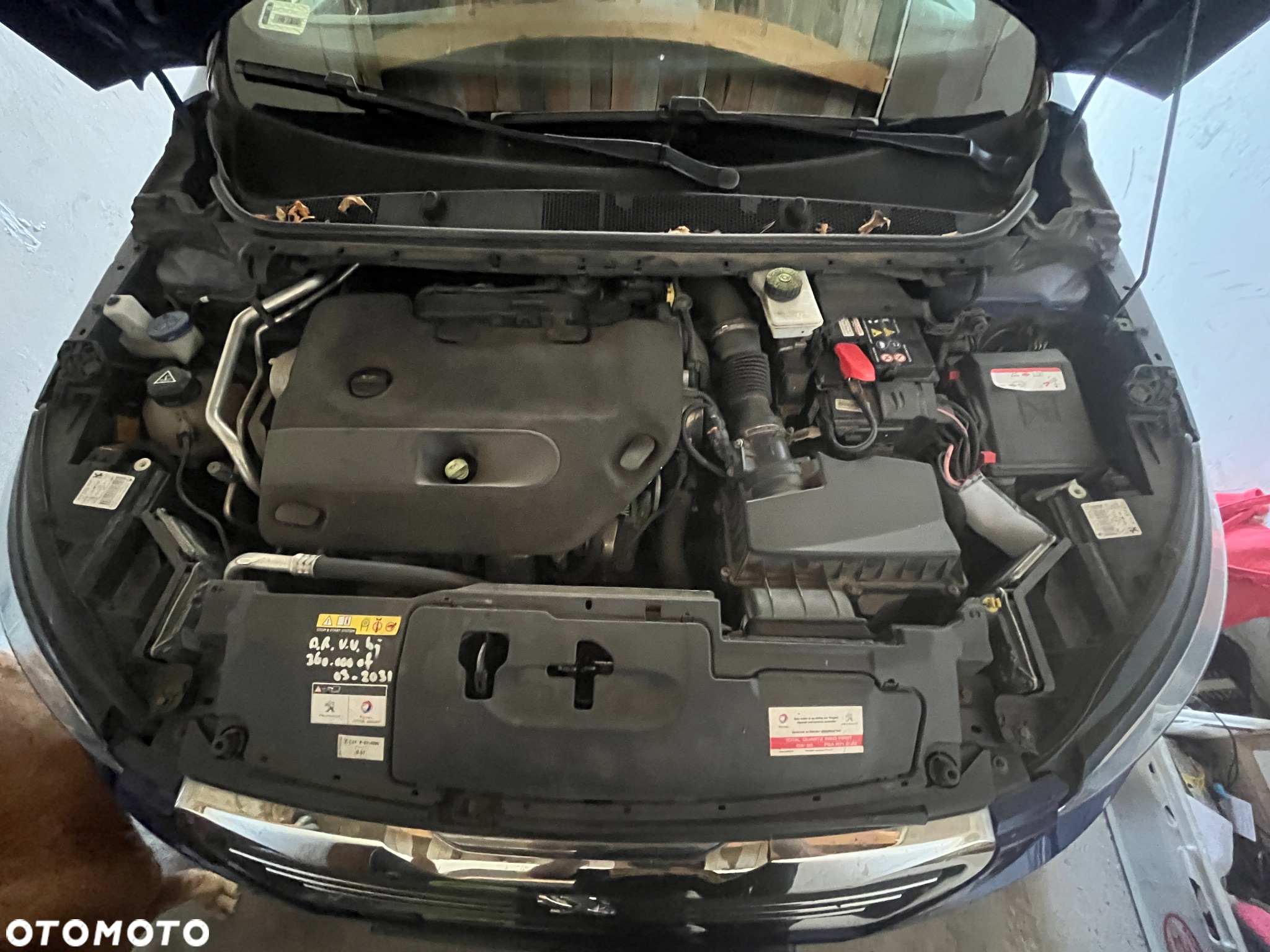 Peugeot 308 SW BlueHDi 180 EAT6 GT - 19