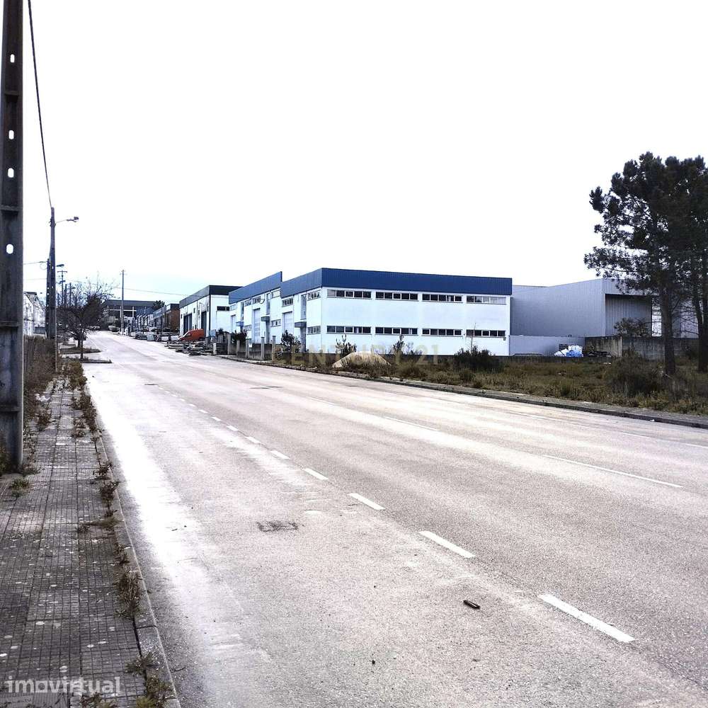 Lote Para Armazém - Grande imagem: 4/8