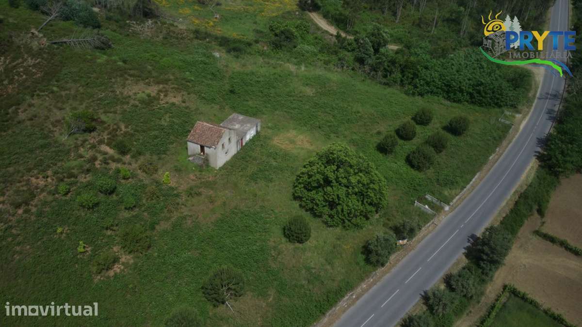 Quinta com 3,6 hectares na Sertã - Pinhal, Oliveiras e Bons Acessos. - Grande imagem: 3/24