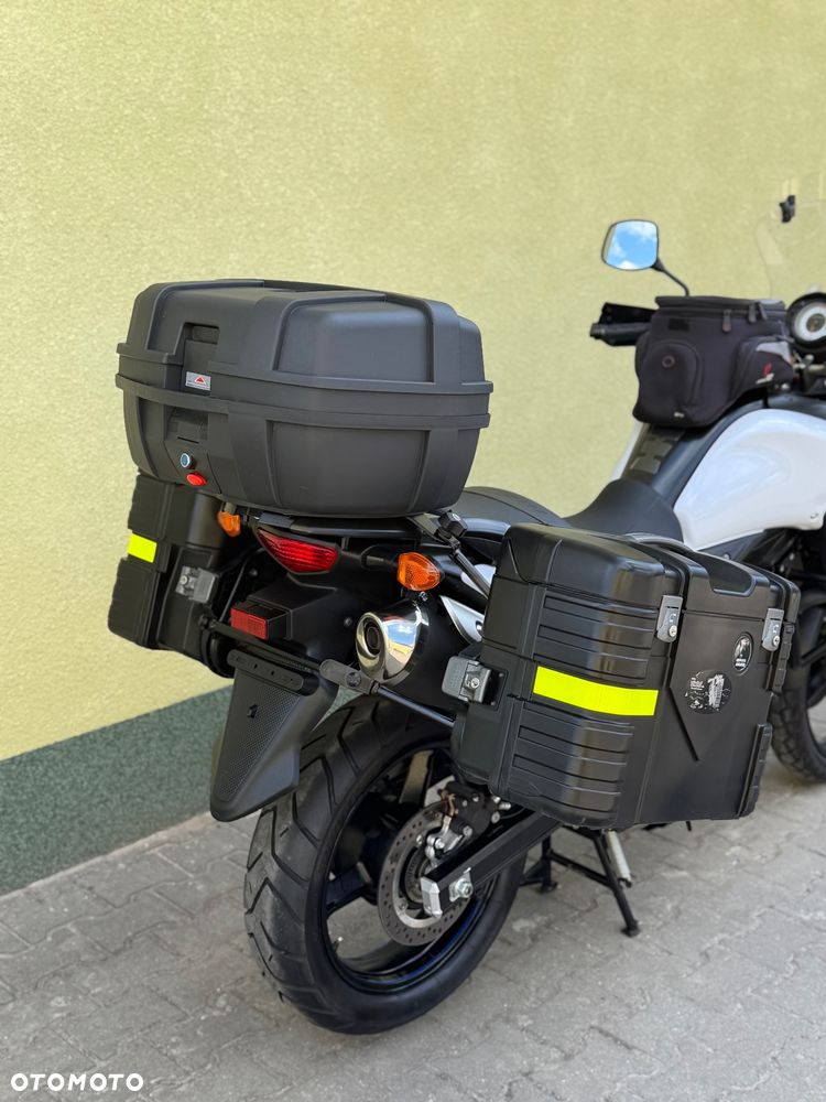 Suzuki DL - 11