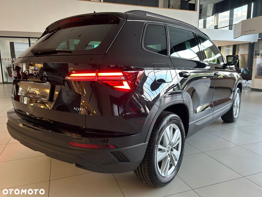 Skoda Karoq - 13