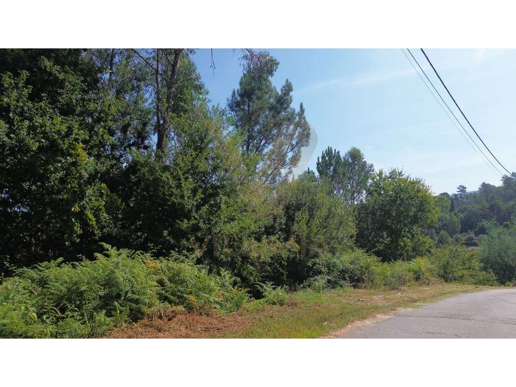 Terreno 4 086 m² - Rebordões Santa Maria - Ponte de Lima - Grande imagem: 4/9