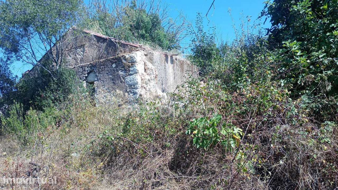 Imóvel centenário em ruinas - Grande imagem: 4/12