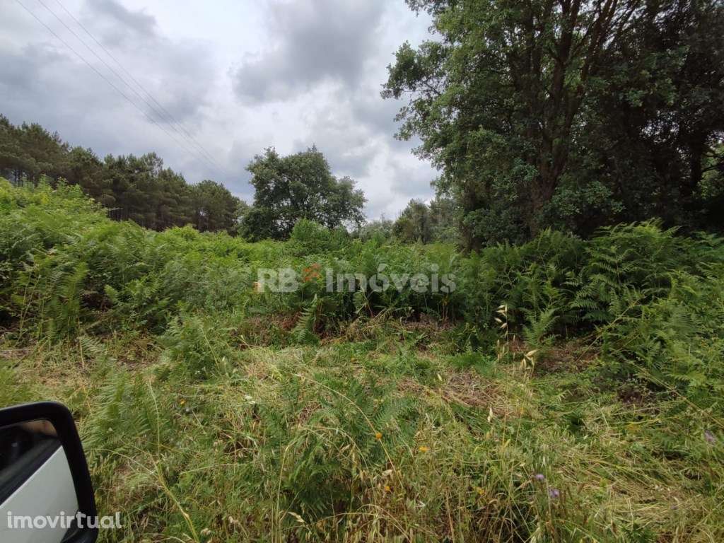 Terreno Rústico com 1880m² e com poço - Igreja Nova do Sobral, Ferr... - Grande imagem: 4/8