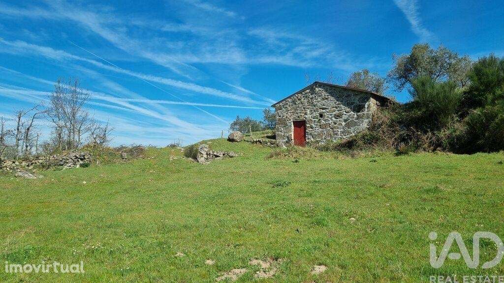 Quinta em Cortiçô da Serra, Vide Entre Vinhas e Salgueirais de 105,00 - Grande imagem: 4/23