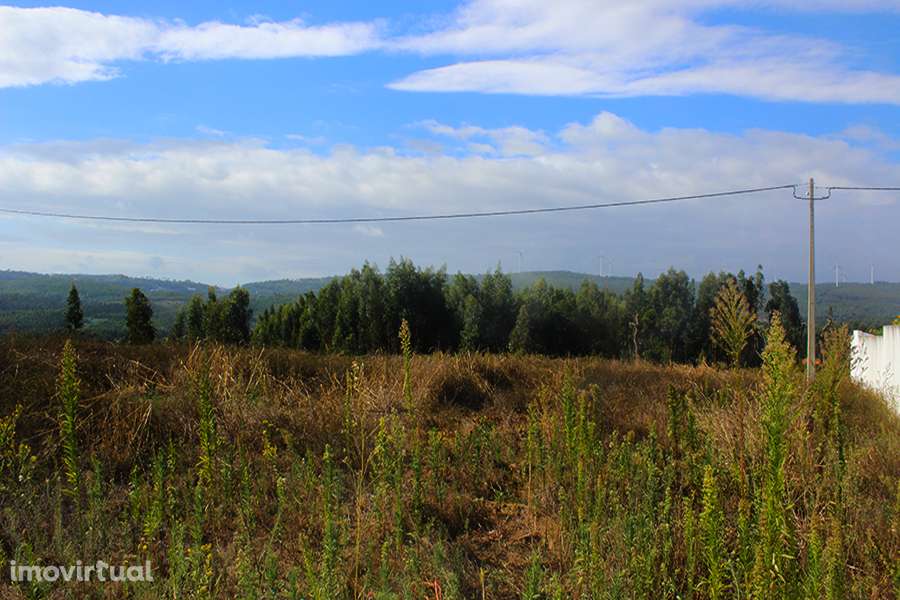 Terreno urbanizável, vista panorâmica, a 5 min. de Rio Maior, Cidral - Grande imagem: 4/9