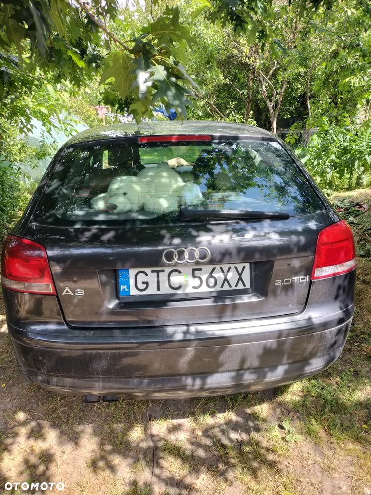 Audi A3 3-drzwiowe 2.0 TDI Attraction - 2