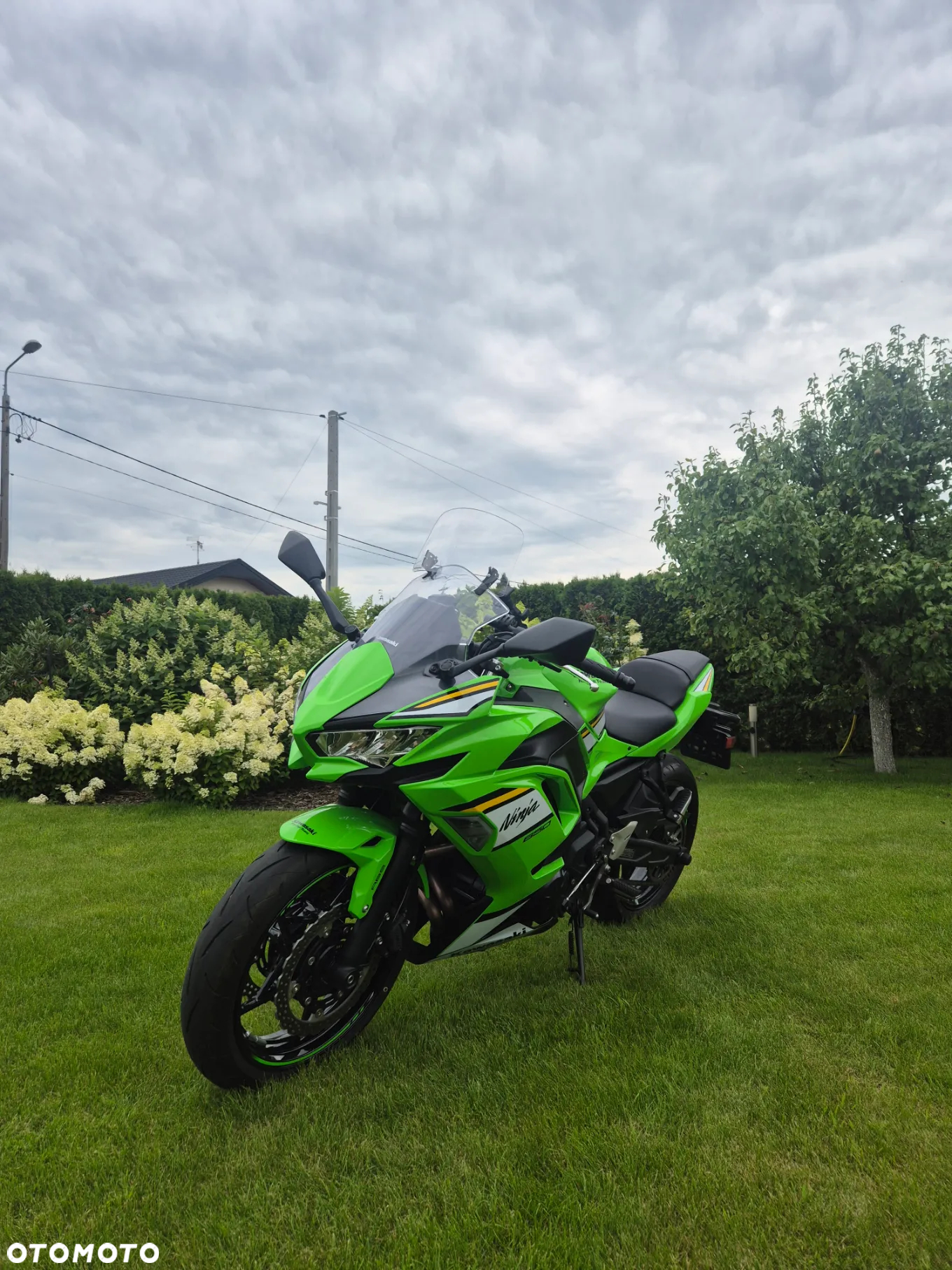 Kawasaki Ninja - 3