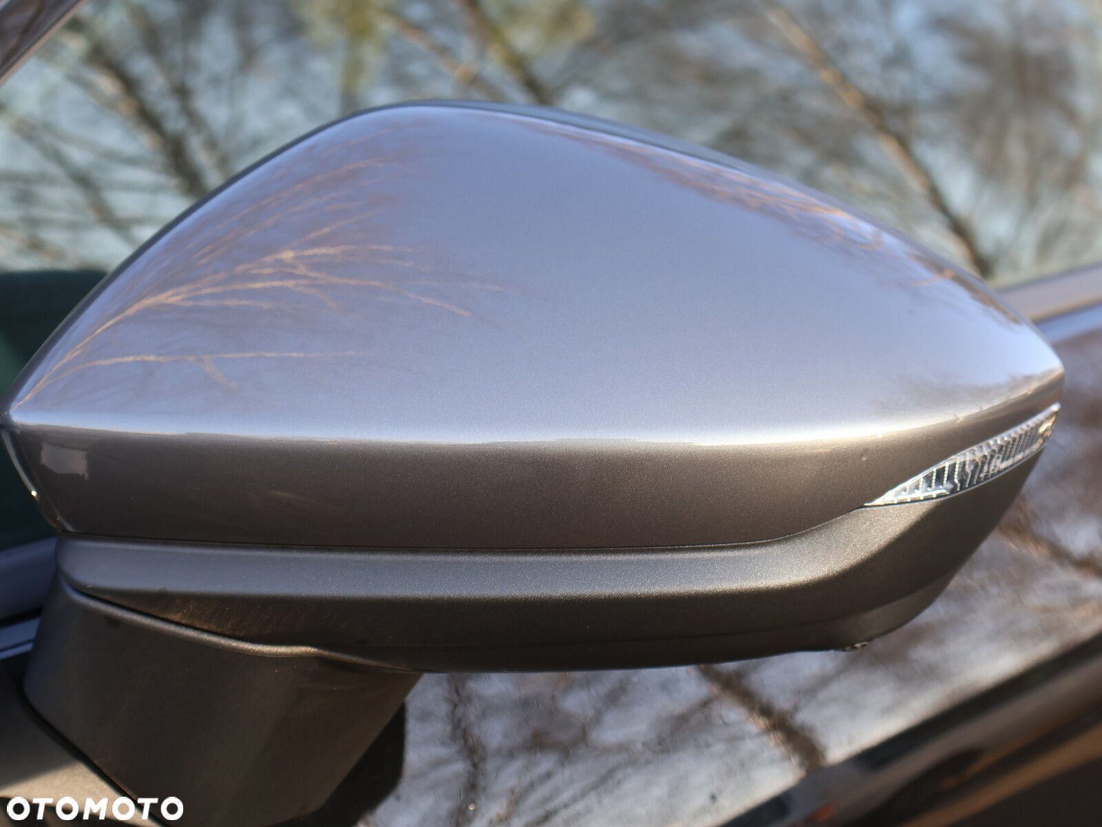 Cupra Terramar 2.0 TSI 4Drive DSG - 5