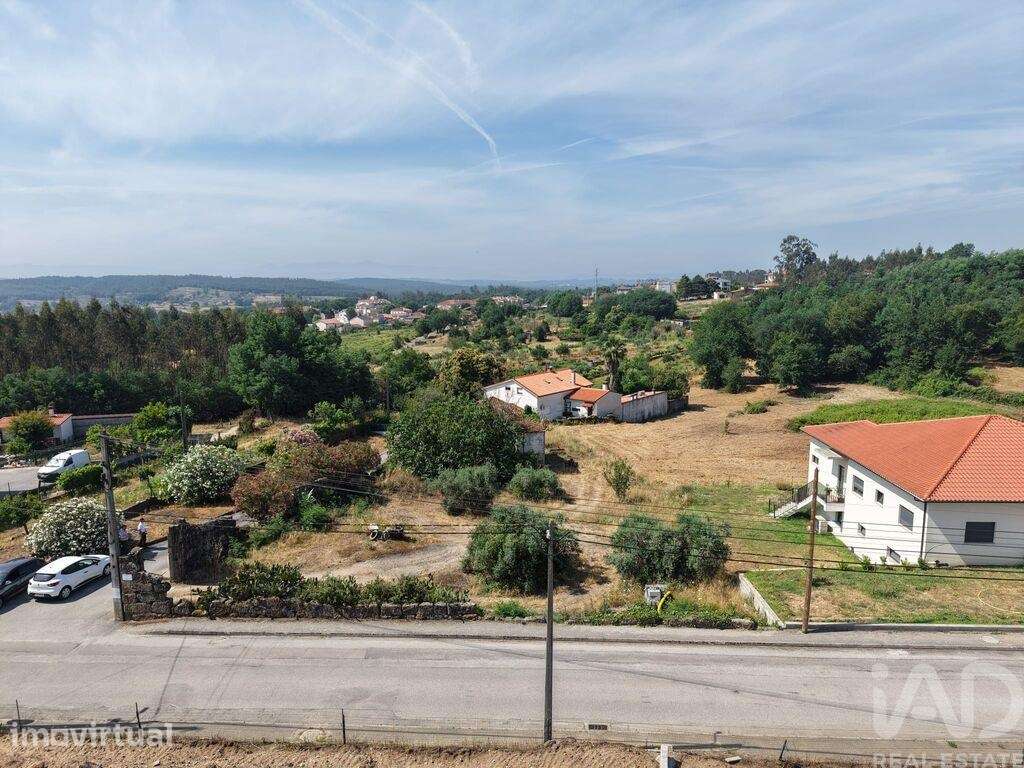 Terreno em Santa Comba Dão e Couto do Mosteiro - Grande imagem: 3/35