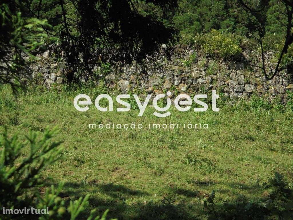 Terreno Rustico localizado em Terra-Chã Destinado a Lavoura ou Pecu... - Grande imagem: 3/7