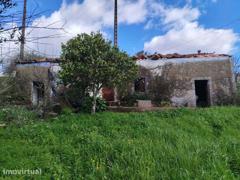 Casa com terreno - Grande imagem: 5/12