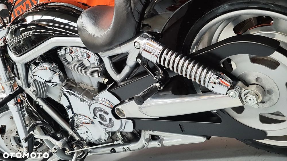 Harley-Davidson Softail V-Rod - 16