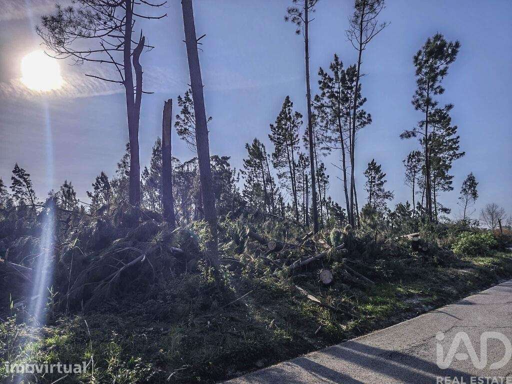 Terreno Agrícola em Maceira - Grande imagem: 2/7
