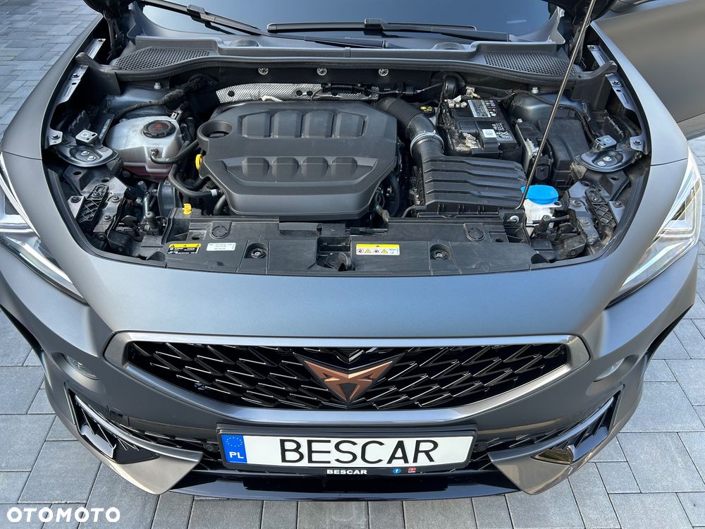 Cupra Formentor 2.0 TSI 4Drive VZ DSG - 22