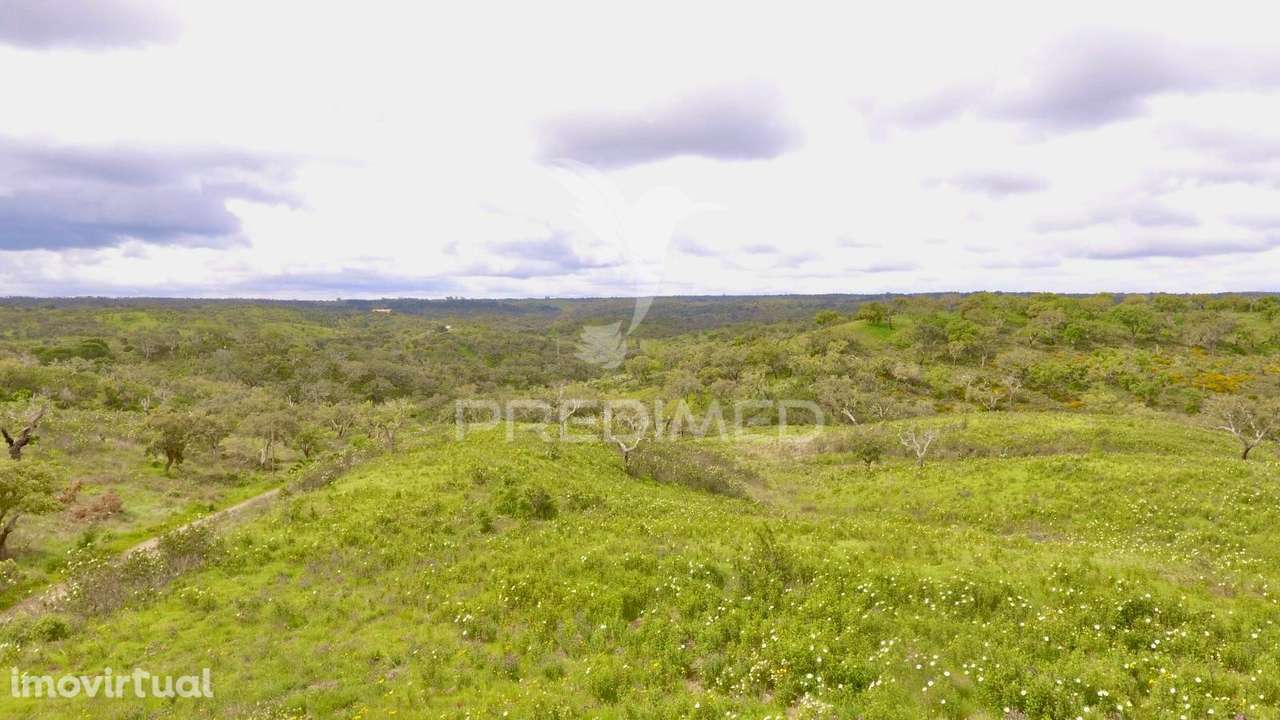 Terreno Rustico com 8.5 hectares - Grande imagem: 2/32