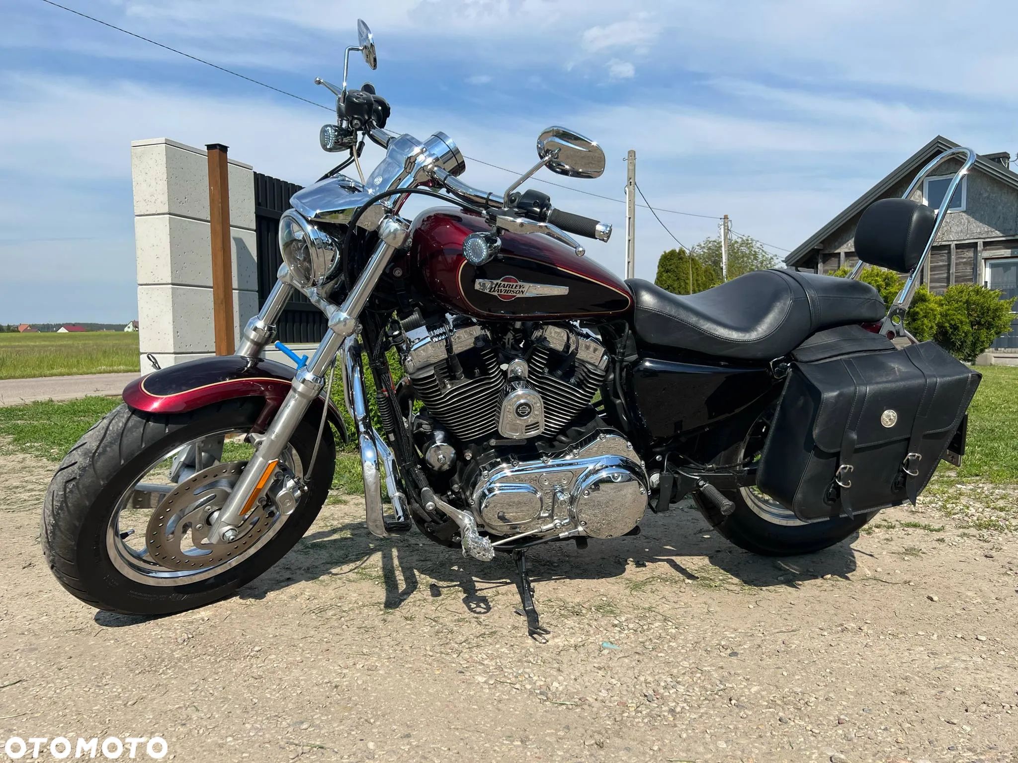 Harley-Davidson Sportster Custom 1200C - 1