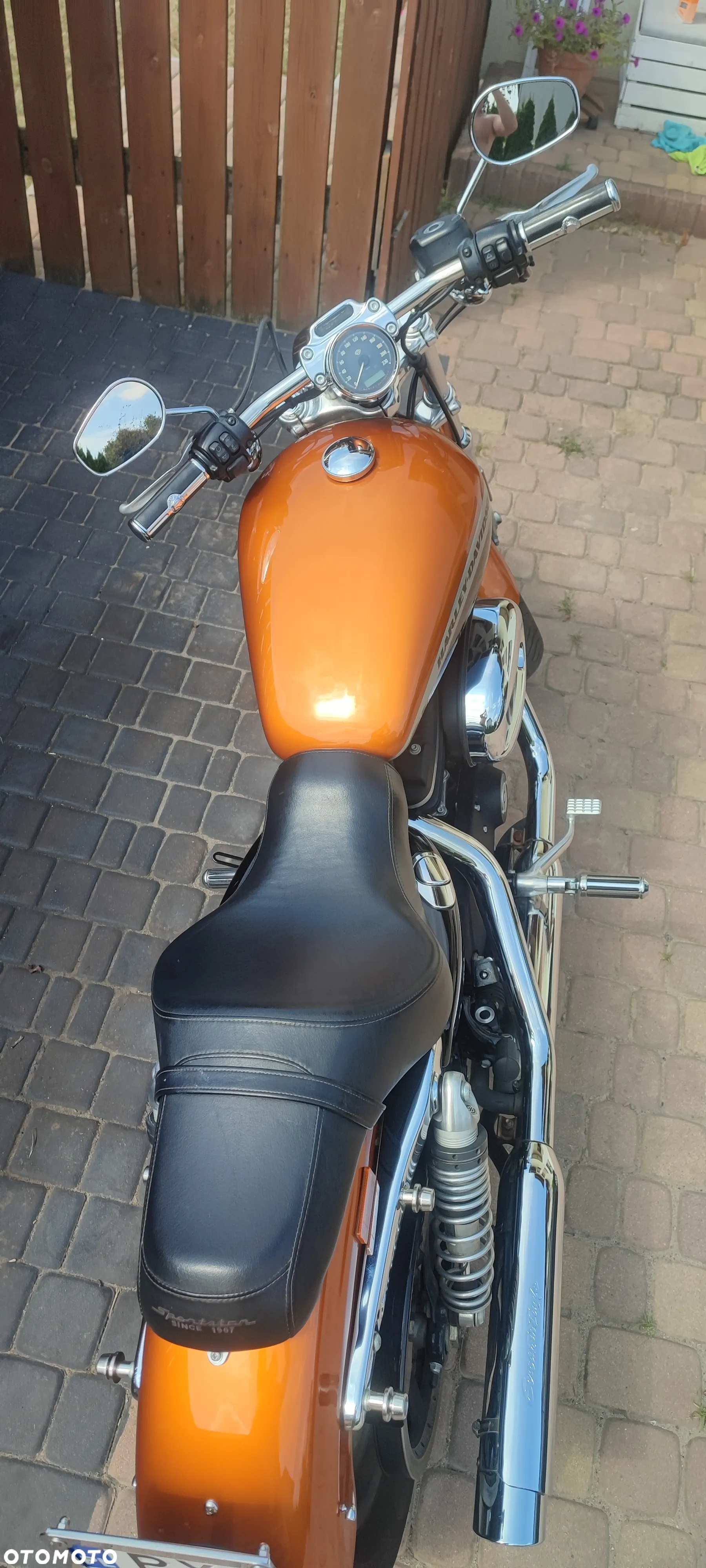 Harley-Davidson Sportster Custom 1200C - 15