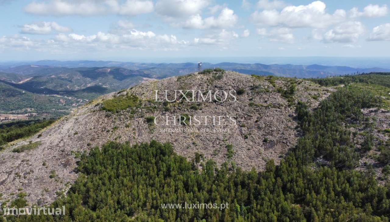 Terreno com ruína, para venda, em Monchique, Algarve - Grande imagem: 5/17