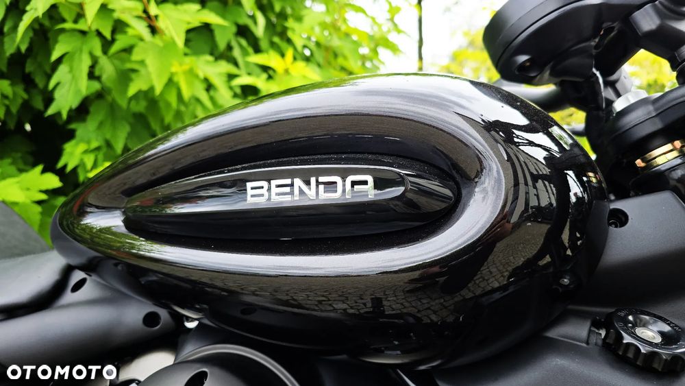 Benda Chinchilla 300 - 8