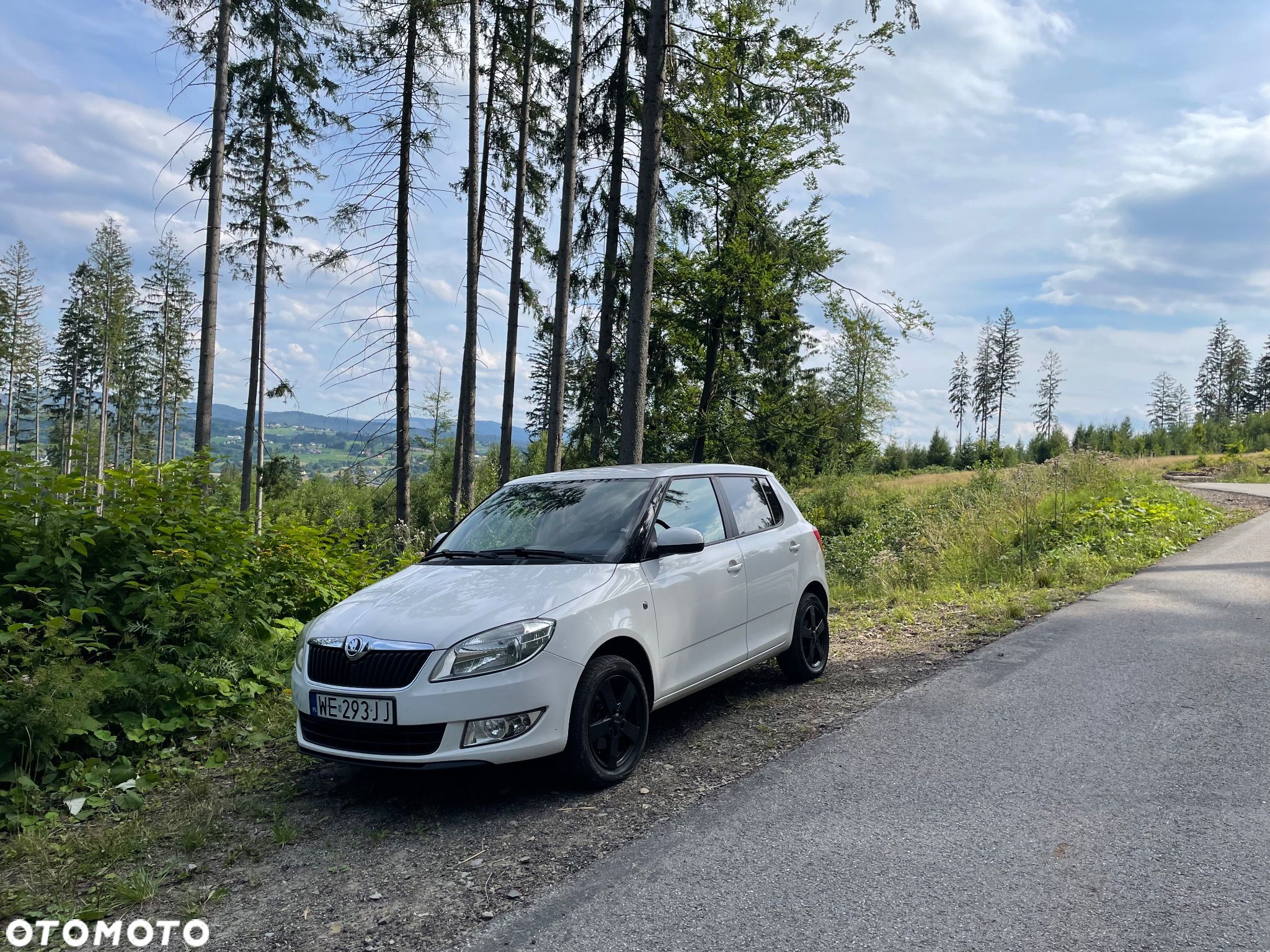 Skoda Fabia 1.6 TDI DPF Ambition Plus - 1