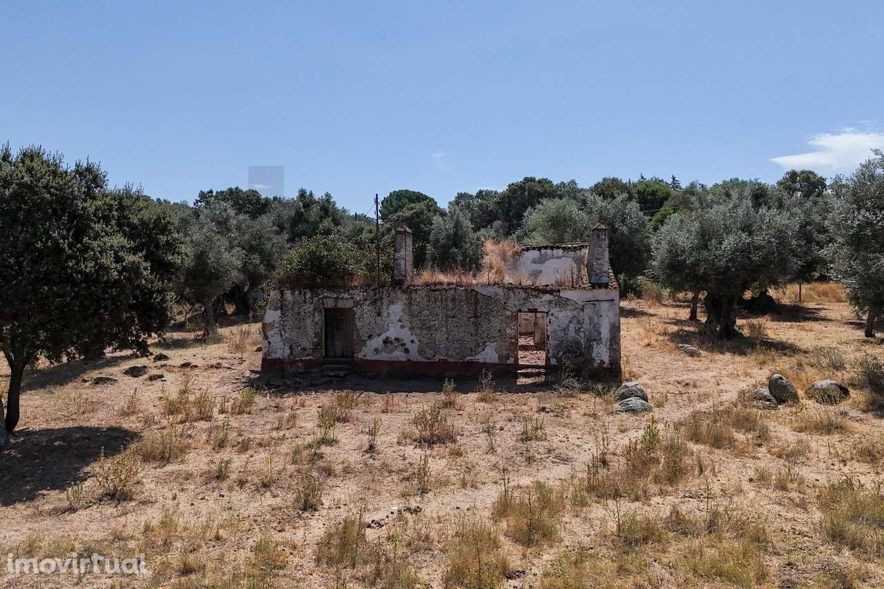 Terreno com 1.45 hectares e projeto aprovado, em Montemor o Novo - Grande imagem: 4/48