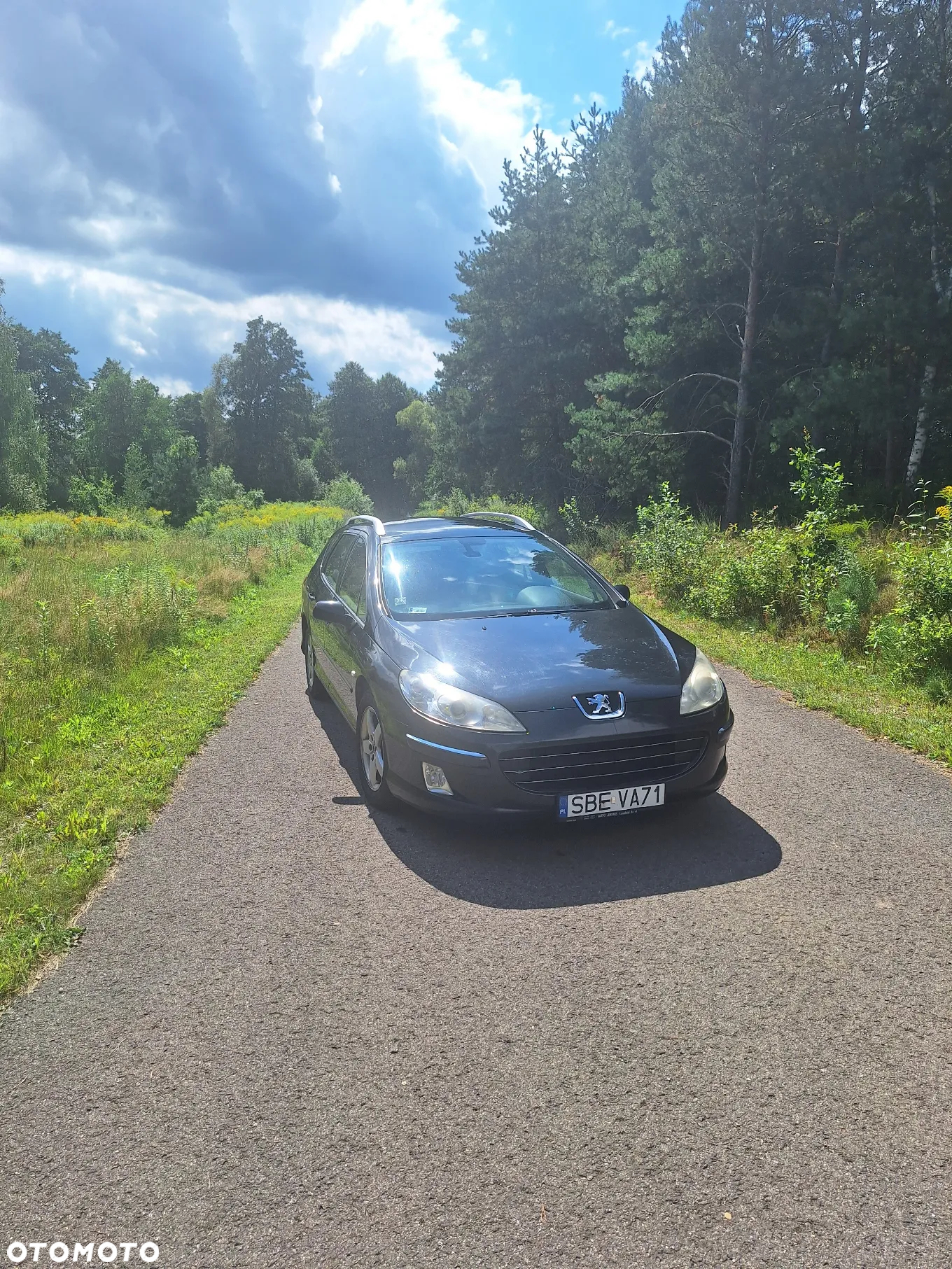 Peugeot 407 1.6 HDI Premium - 2