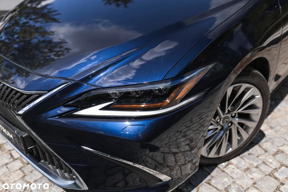 Lexus ES 300h Omotenashi - 3