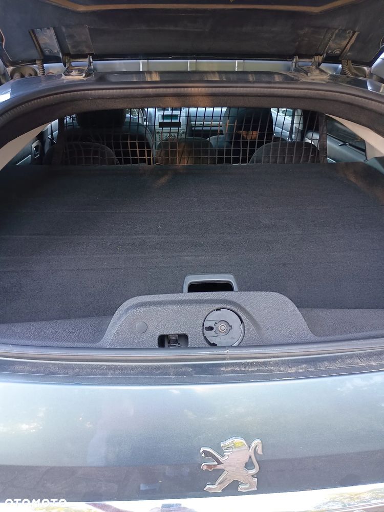 Peugeot 407 - 15